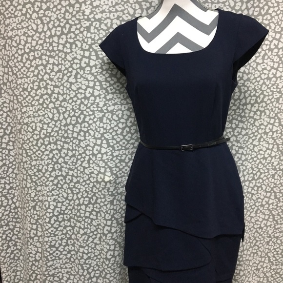 Calvin Klein Dress (no belt) - Picture 1 of 5